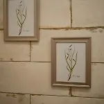 Dom Rabinovicha Отель типа 