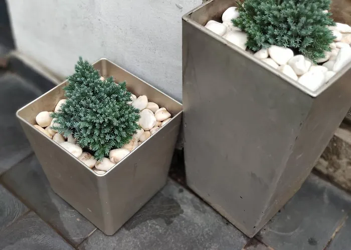 Bed and breakfast Dom Rabinovicha