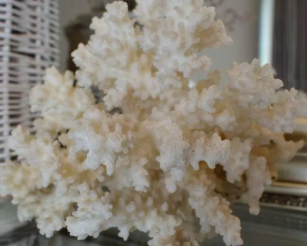 Dom Rabinovicha Bed and breakfast Odesa