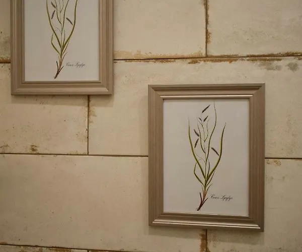 Dom Rabinovicha Bed and breakfast